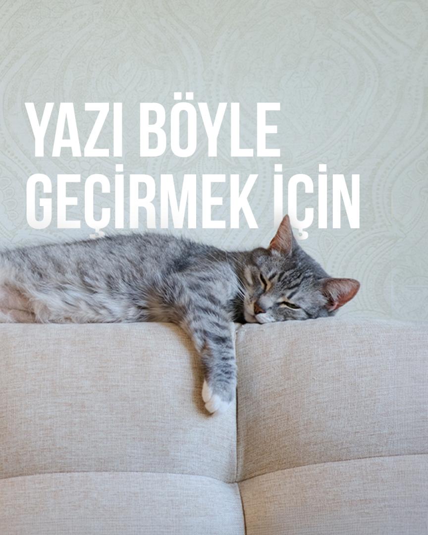 Yaz Aylarında Klimayı Daha Verimli Kullanma Rehberi